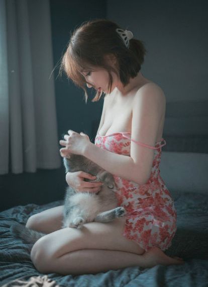 纪晓岚三部40集免费观看视频播放_BD国语高清完整版